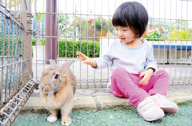 どうぶつふれあい広場